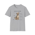 Anatomy of a Good Boy T-Shirt